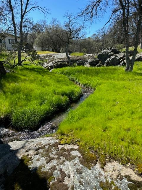 44679 Savage Road Coarsegold, CA 93614 - Photo 76 of 76 Gallery Image 76
