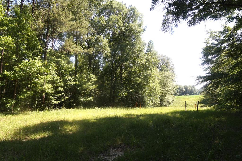 2050 St Paul Road Hazlehurst, MS 39083 - Photo 14 of 37 Photo 14