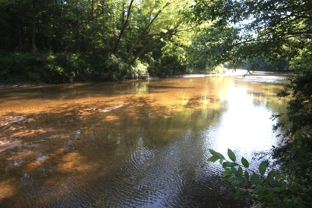 2050 St Paul Road Hazlehurst, MS 39083 - Photo 23 of 37 Photo 23