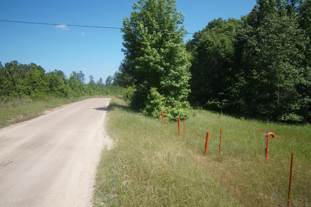 2050 St Paul Road Hazlehurst, MS 39083 - Photo 3 of 37 Photo 3