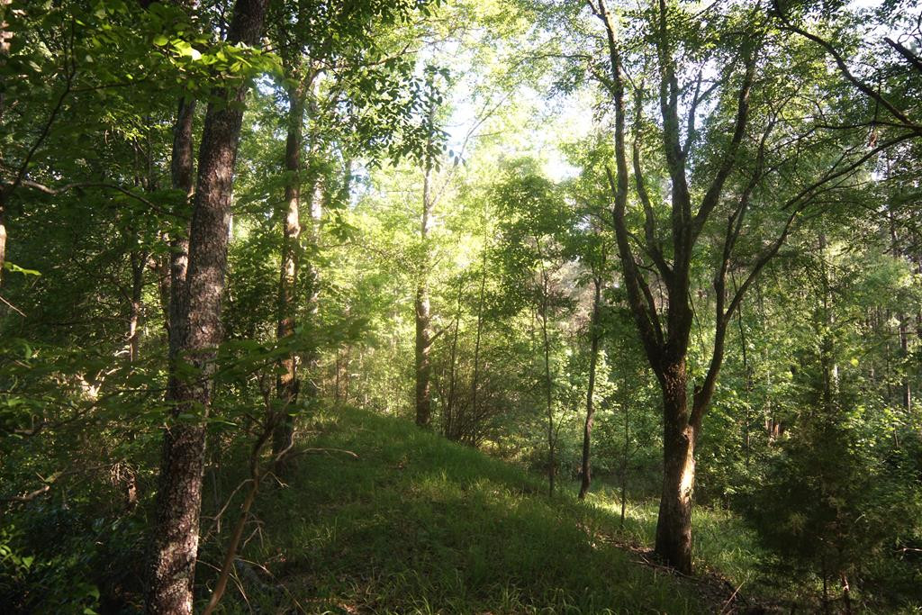 2050 St Paul Road Hazlehurst, MS 39083 - Photo 33 of 37 Photo 33