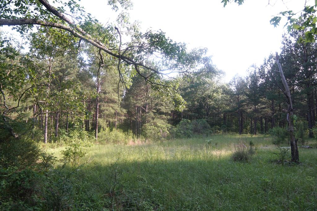 2050 St Paul Road Hazlehurst, MS 39083 - Photo 34 of 37 Photo 34