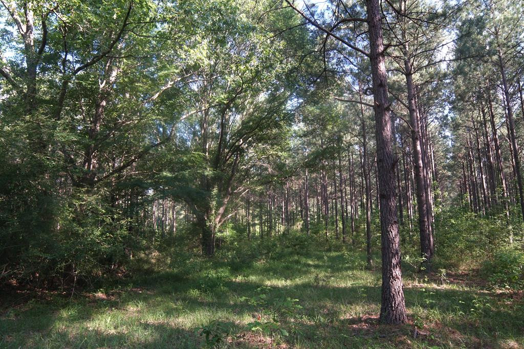 2050 St Paul Road Hazlehurst, MS 39083 - Photo 35 of 37 Photo 35