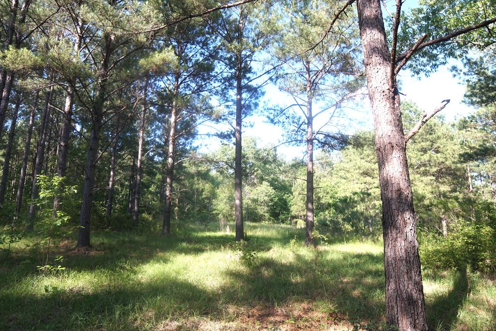 2050 St Paul Road Hazlehurst, MS 39083 - Photo 36 of 37 Photo 36