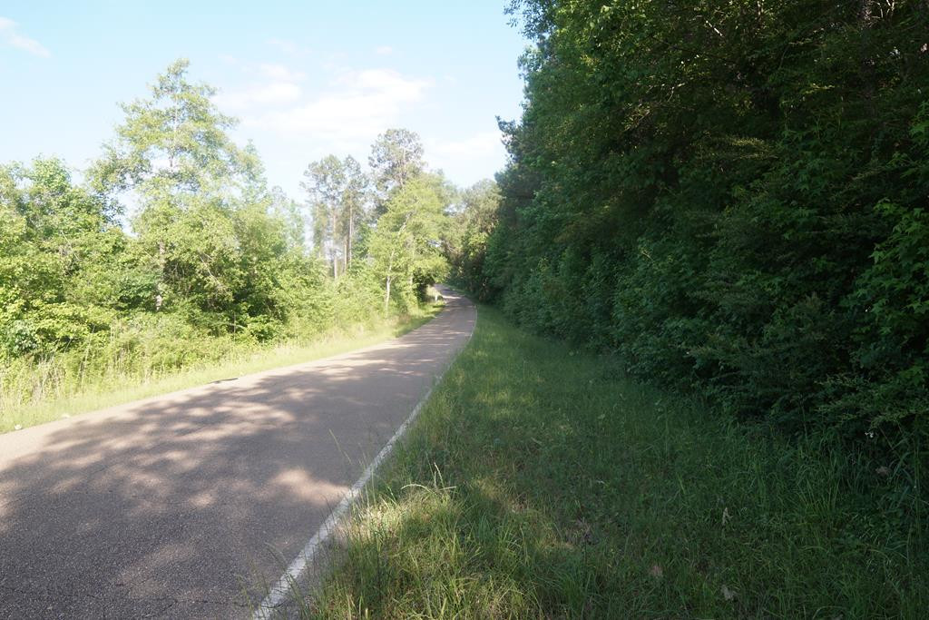 2050 St Paul Road Hazlehurst, MS 39083 - Photo 37 of 37 Photo 37