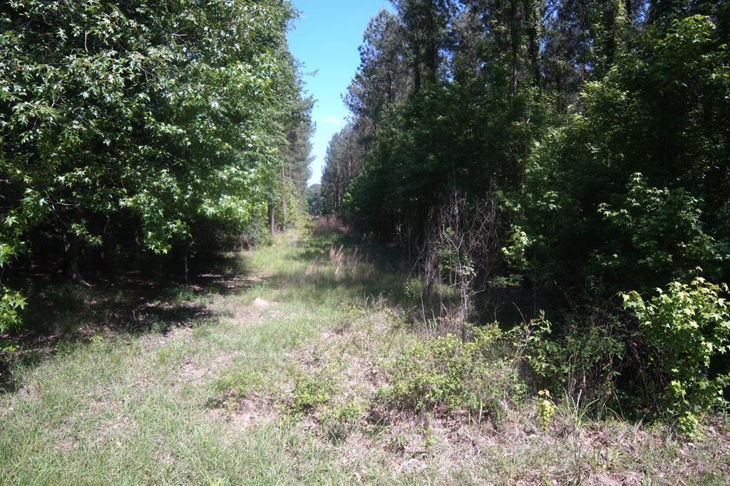 2050 St Paul Road Hazlehurst, MS 39083 - Photo 4 of 37 Photo 4