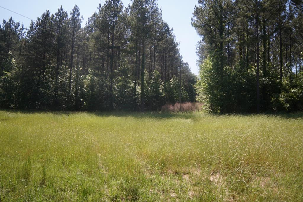 2050 St Paul Road Hazlehurst, MS 39083 - Photo 5 of 37 Photo 5