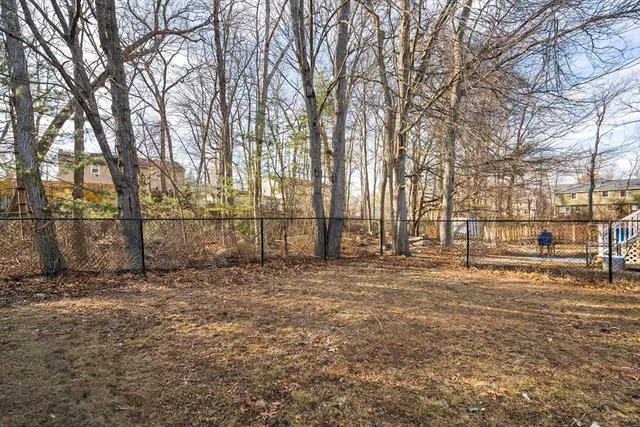 a view of a yard with a tree