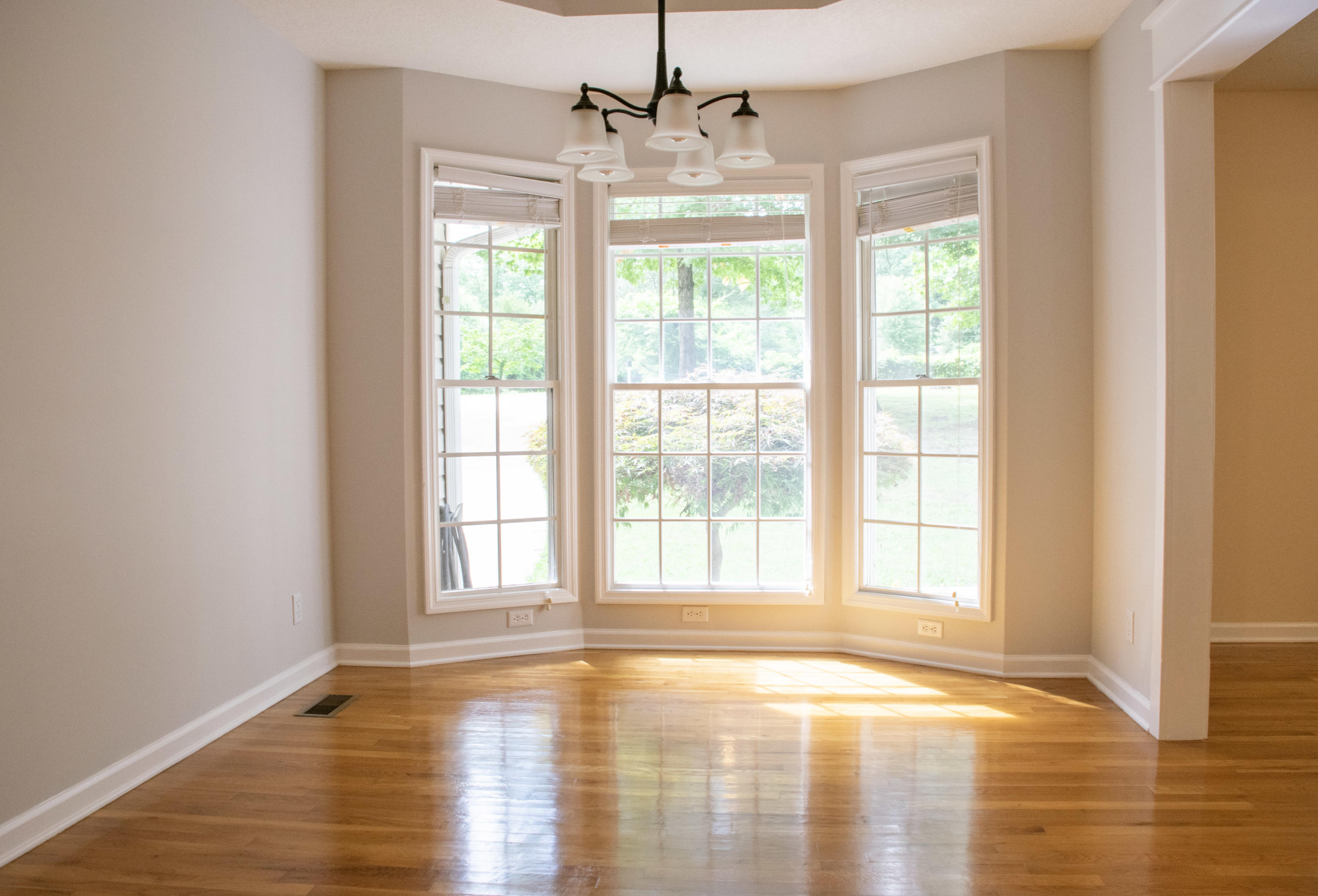 185 Coppinger Road Chattanooga, TN 37405 - Photo 9 of 25 DSC_0549