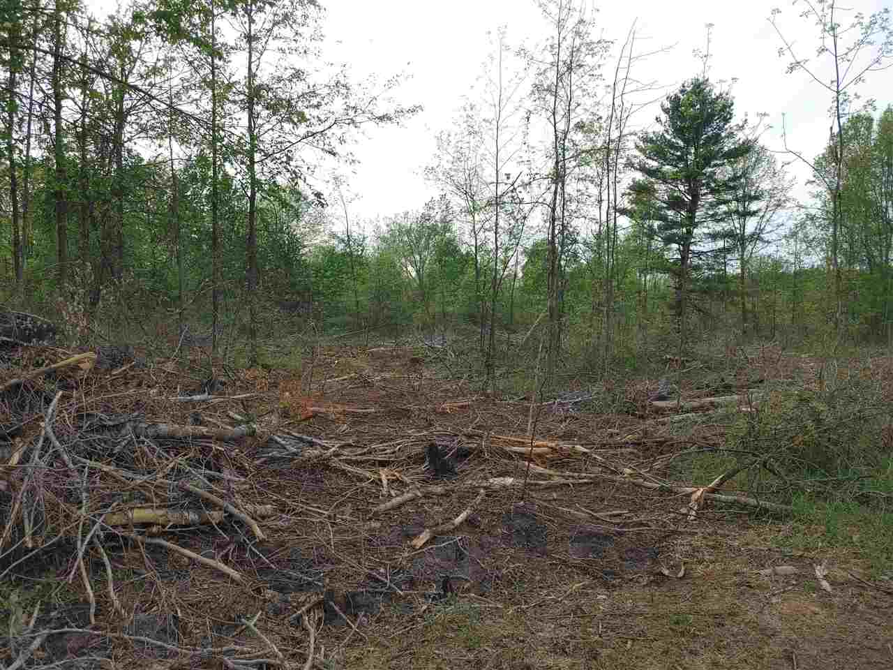 Parcel C South Isabella Road Shepherd, MI 48883 - Photo 3 of 7