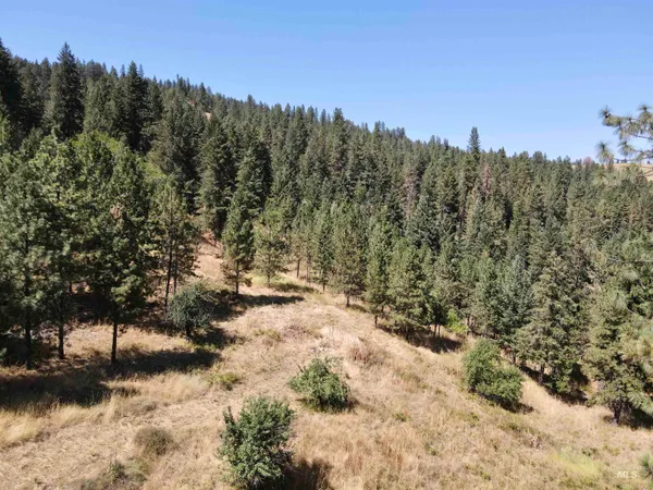 $699,000 | 22545 Angel Ridge Road, Peck, ID 83545