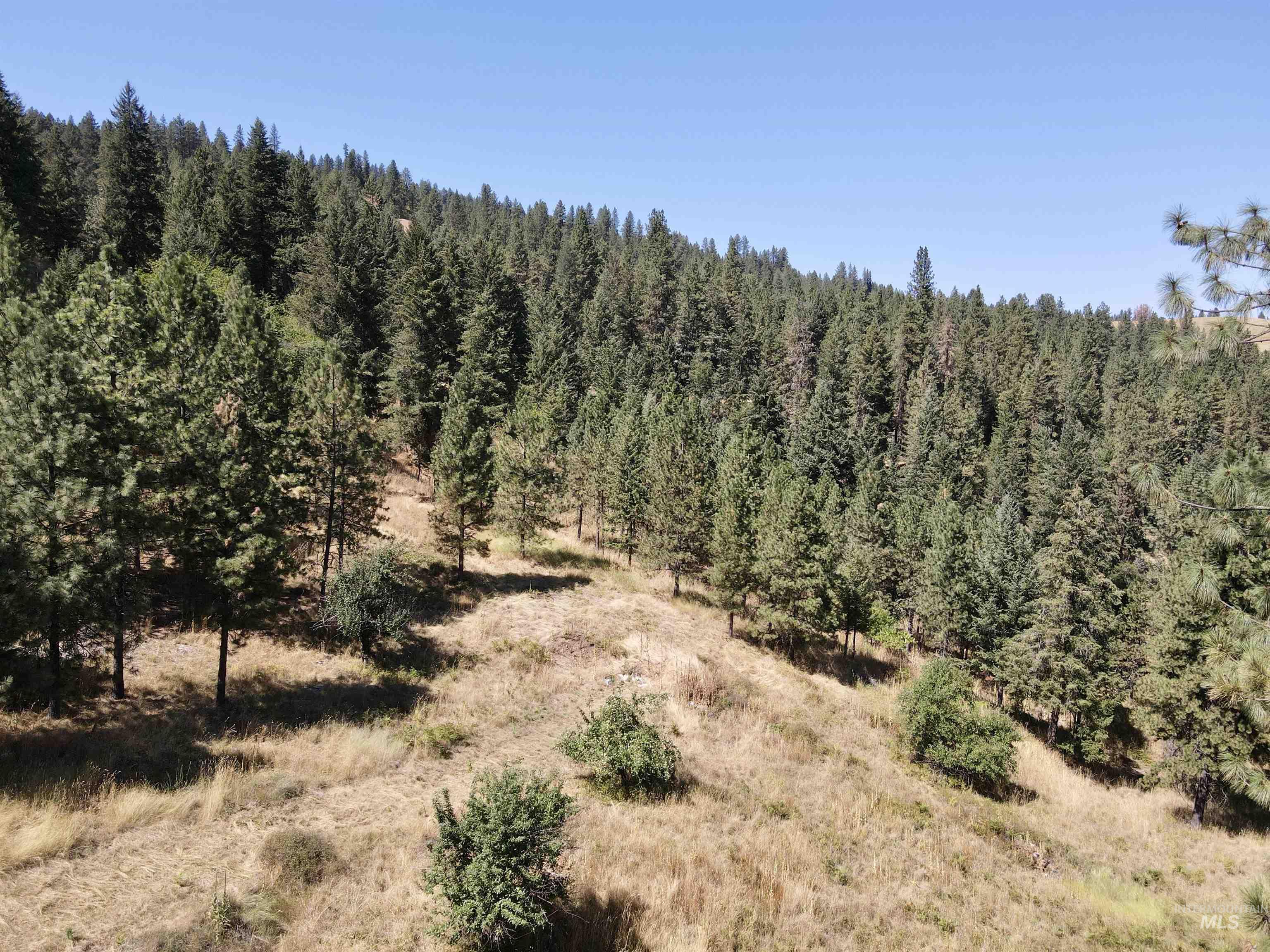 22545 Angel Ridge Road Peck, ID 83545 - Photo 48 of 50