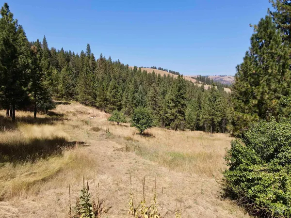 $699,000 | 22545 Angel Ridge Road, Peck, ID 83545