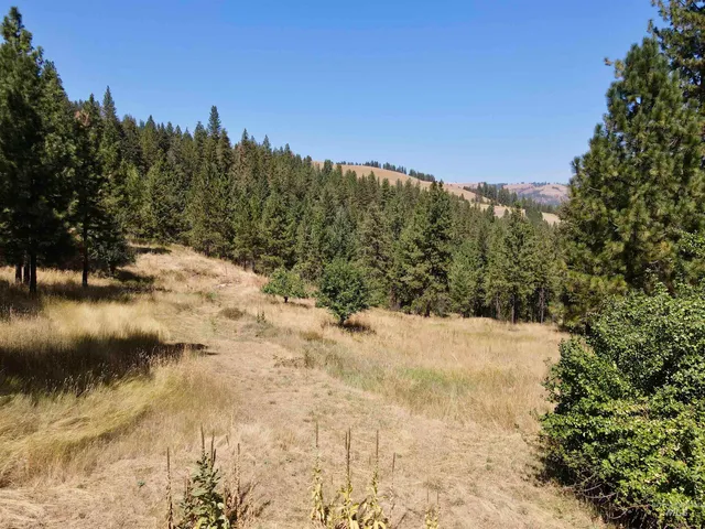$699,000 | 22545 Angel Ridge Road, Peck, ID 83545