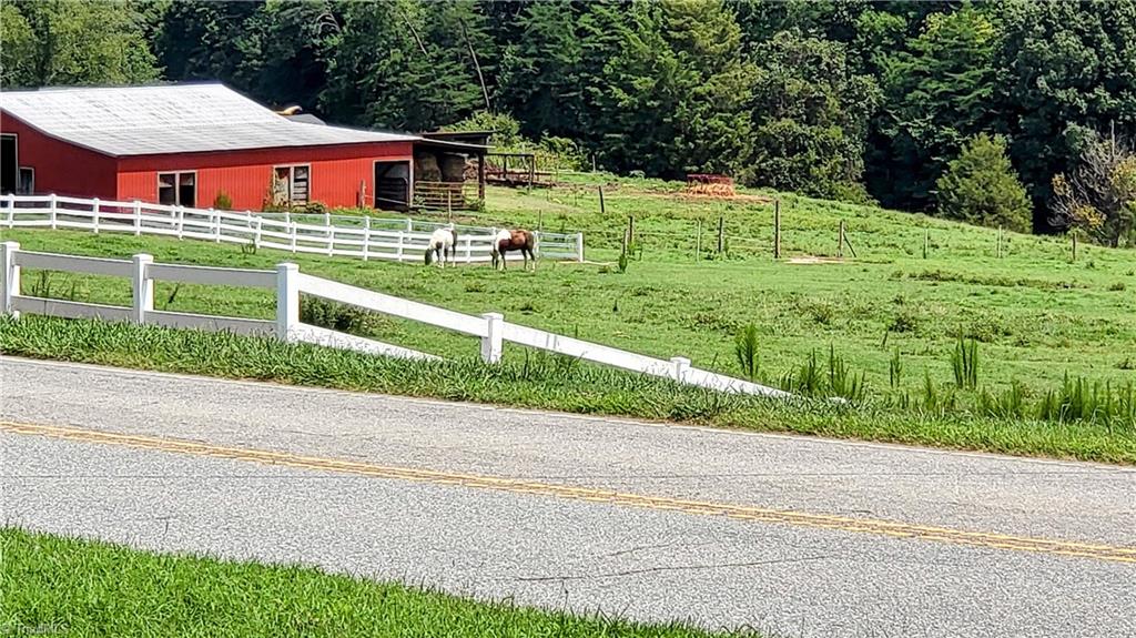 310 Sedge Garden Road Kernersville, NC 27284 - Photo 30 of 34 Horses grazing across the road