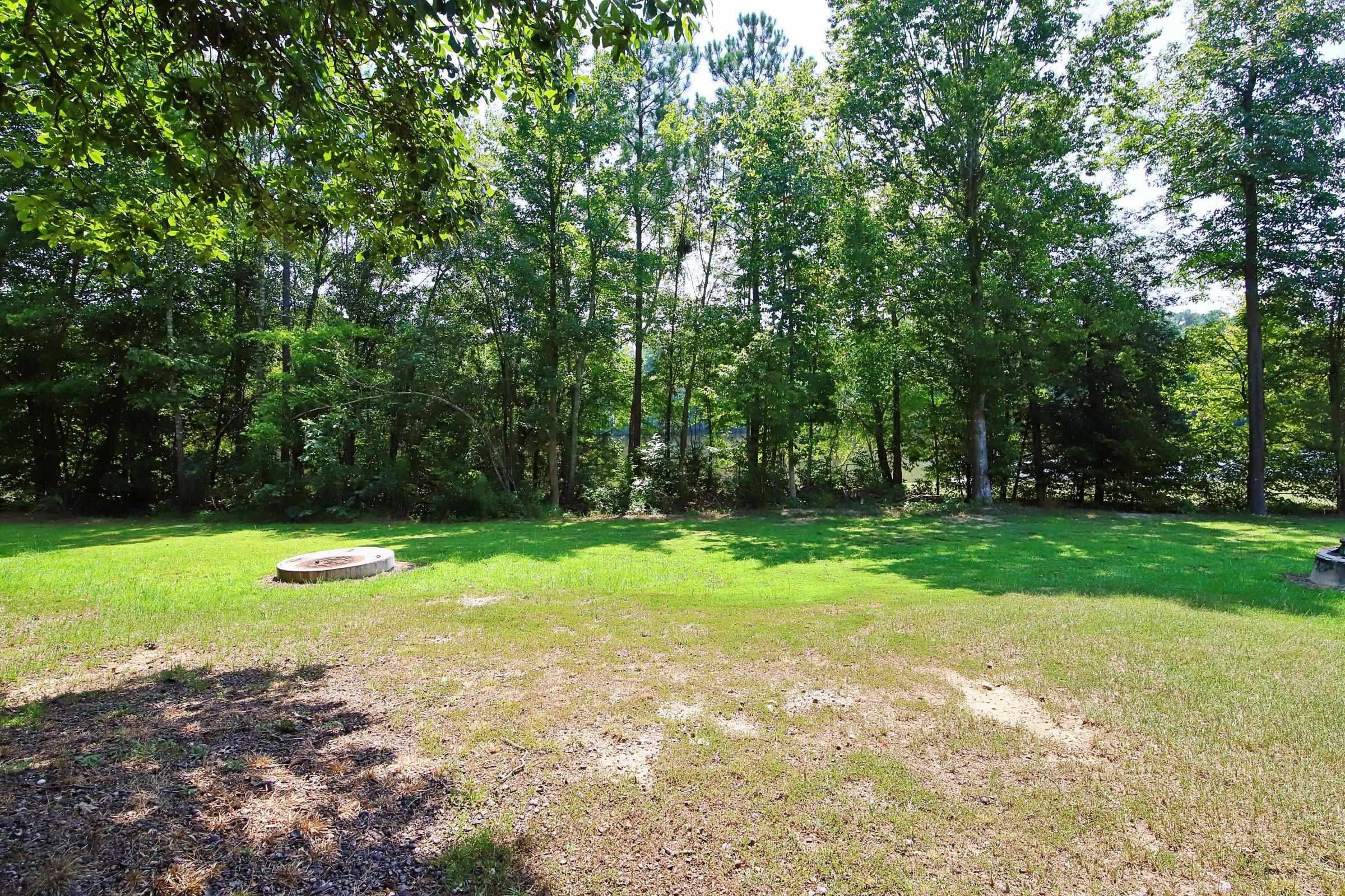 212 Rattan Bay Drive Raleigh, NC 27610 - Photo 25 of 27 Photo 26