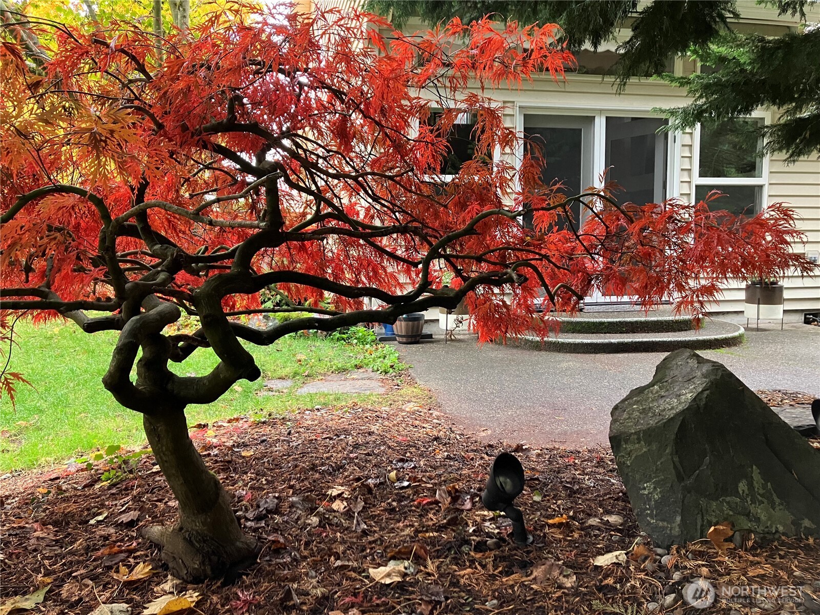 6605 Riviera Court Southeast Lacey, WA 98513 - Photo 34 of 40