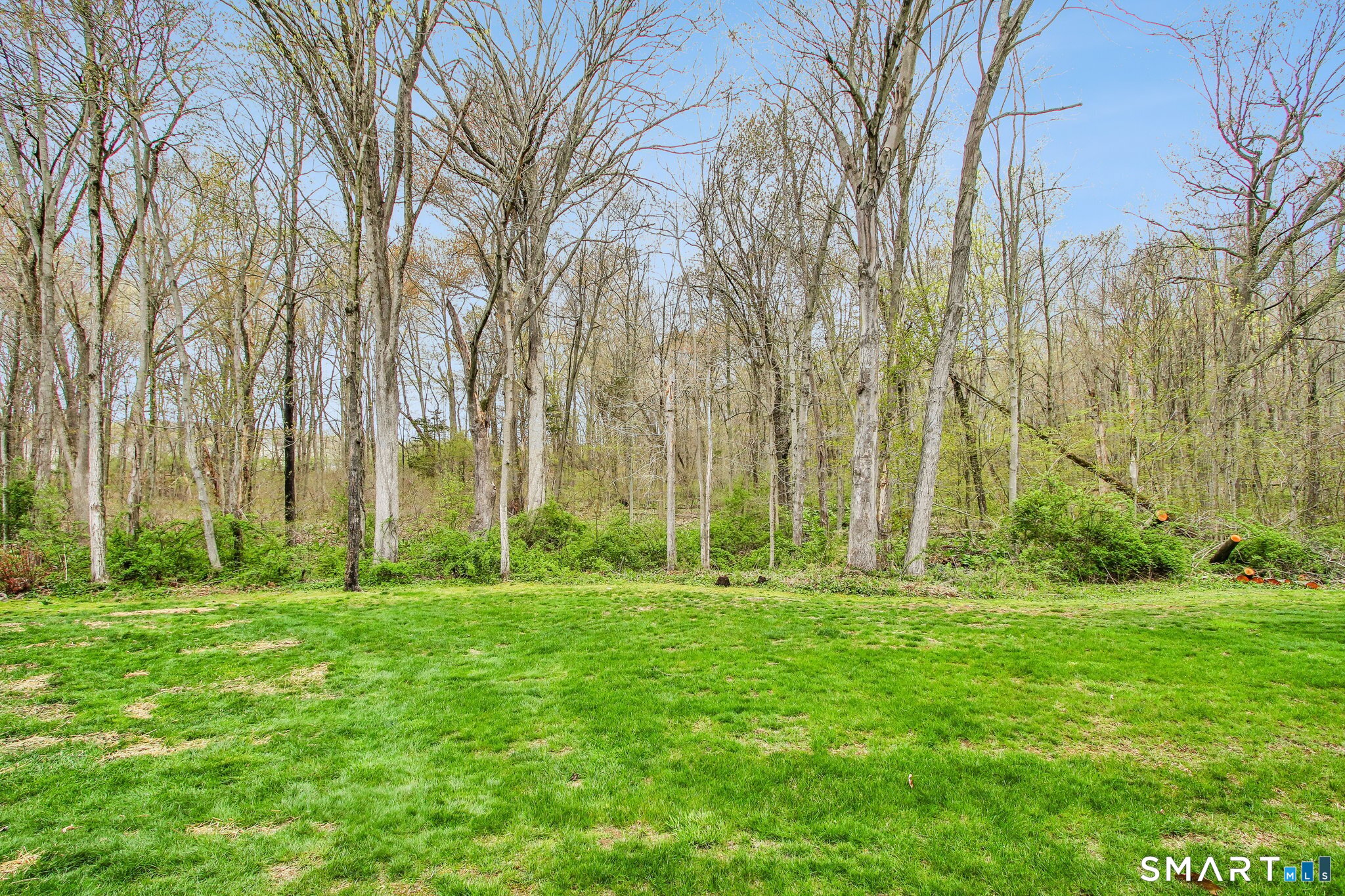 60 Clintonville Road, Unit 103 North Branford, CT 06472 - Photo 35 of 40 Private view of the woods and nature.