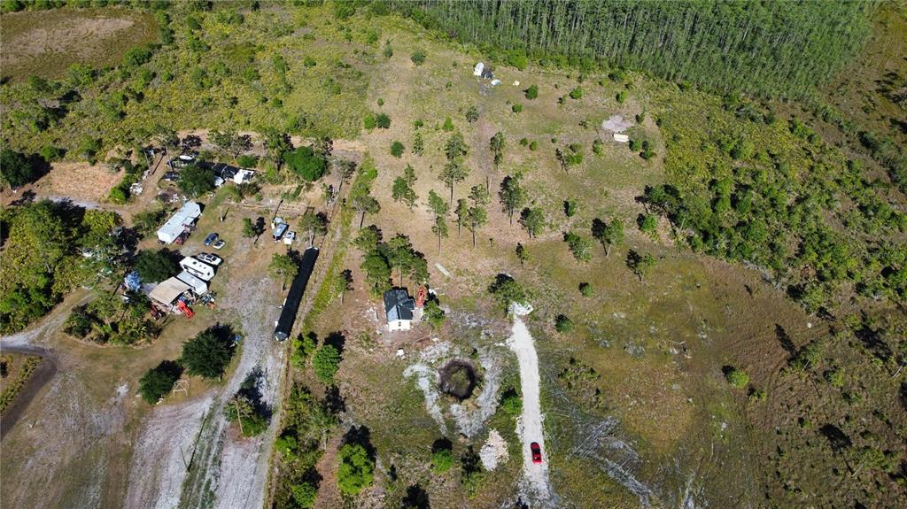 Harris Rd Street St. Cloud, FL 34773 - Photo 2 of 5 a view of a forest with a tree