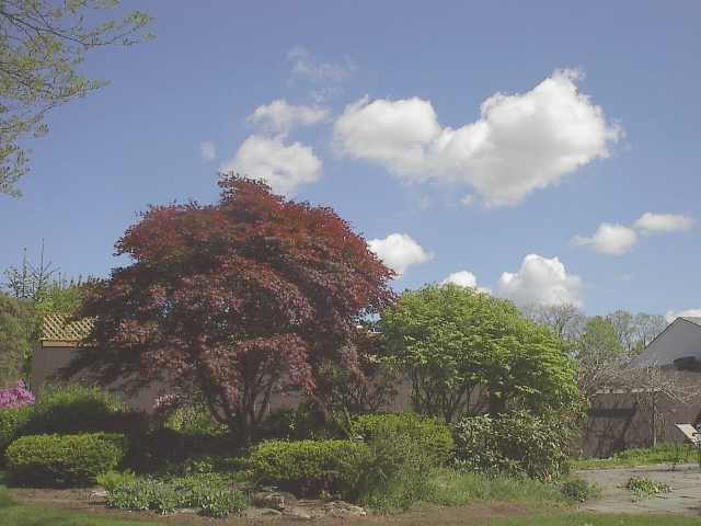 552 Rte 9W Bethlehem, NY 12077 - Photo 12 of 12 Photo 12