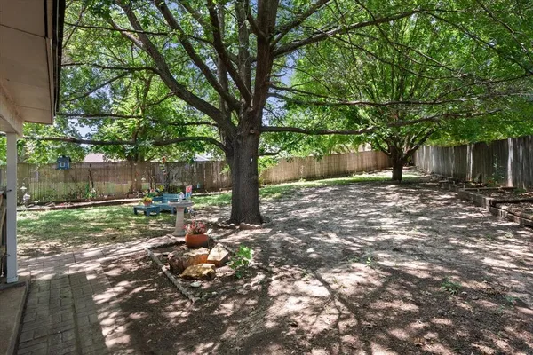 a tree in the middle of a yard