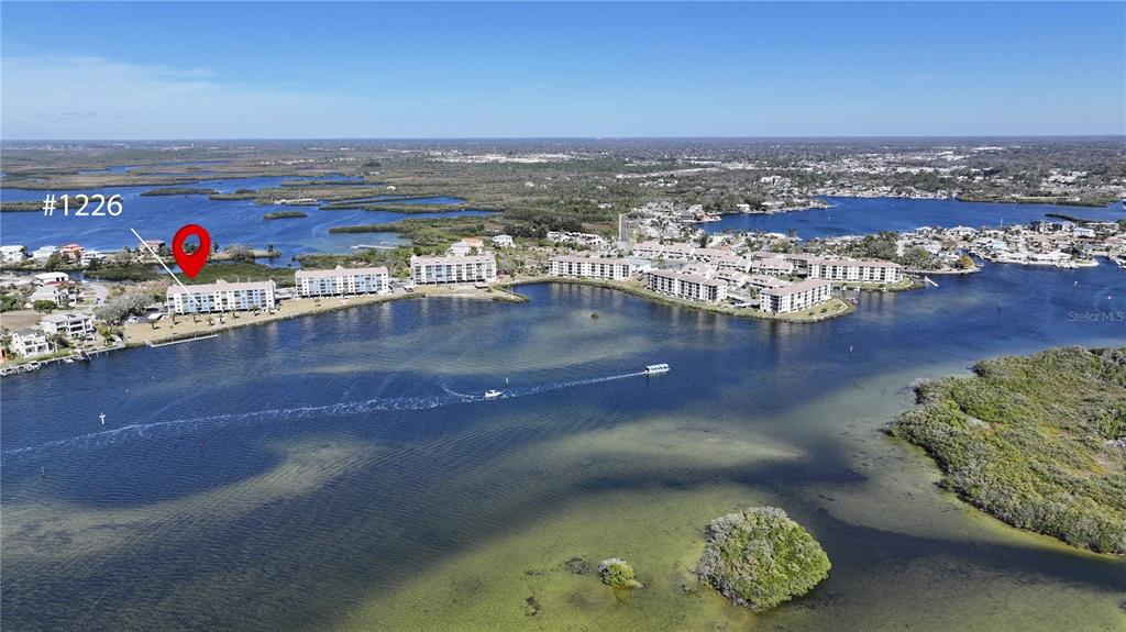 4550 Bay Boulevard, Unit 1226 Port Richey, FL 34668 - Photo 52 of 52