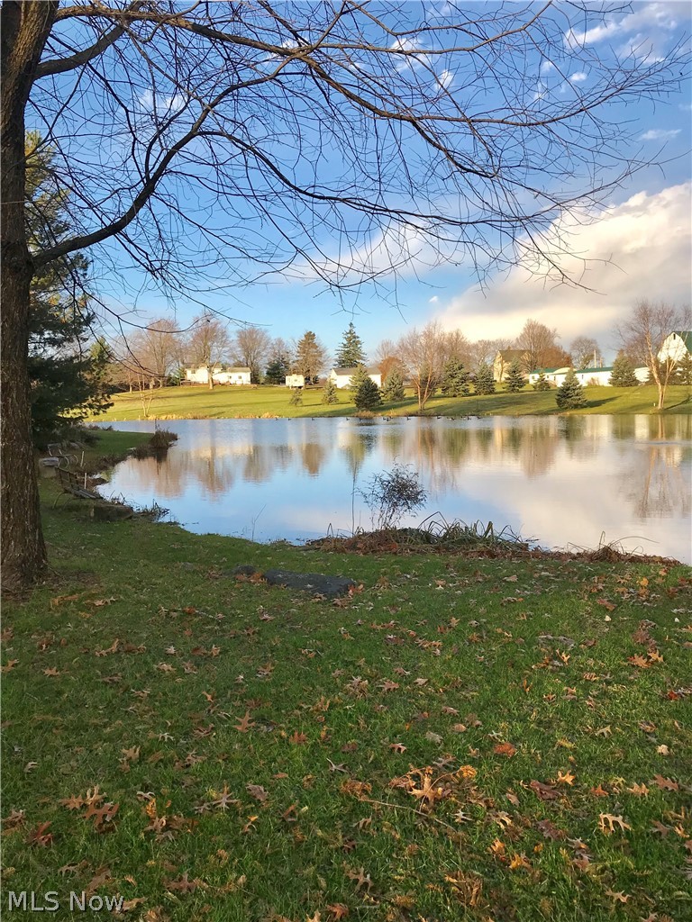 1136 Remsen Road Medina, OH 44256 - Photo 4 of 31