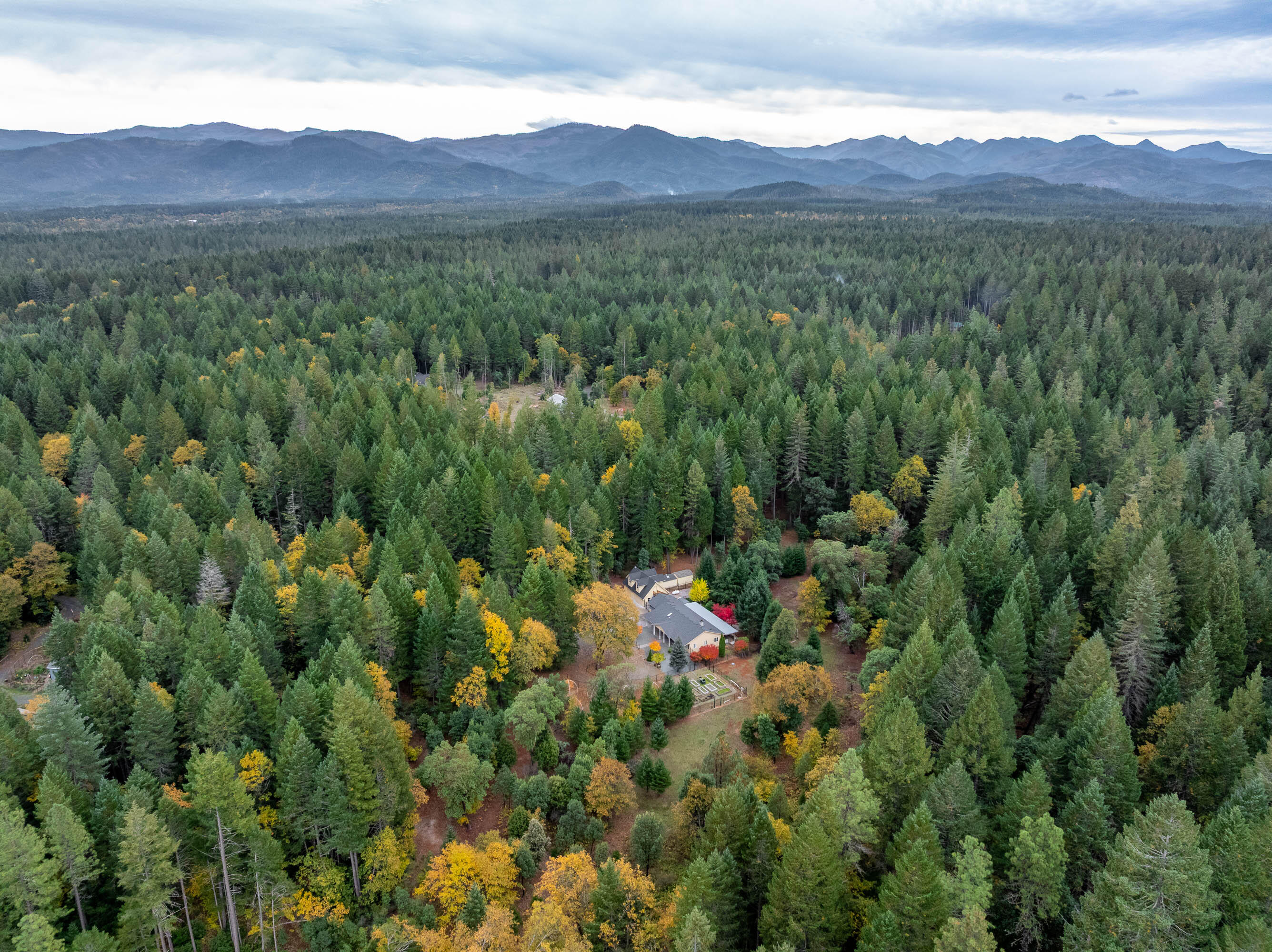 335 Cornett Lane Cave Junction, OR 97523 - Photo 51 of 55 DRONE (5 of 8)