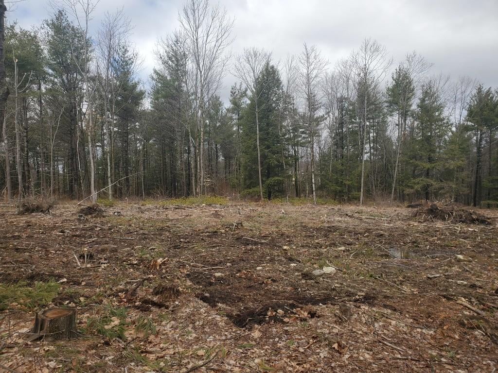 Lot 6 McIntire Road Fitchburg, MA 01420 - Photo 19 of 22 Gallery Image 19