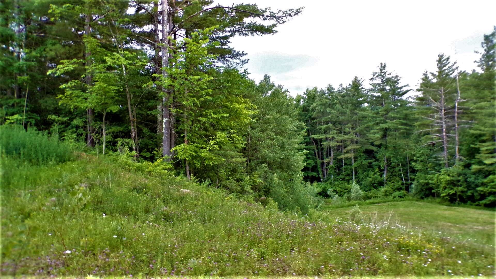 231 Chapel Road Bennington, VT 05201 - Photo 12 of 13