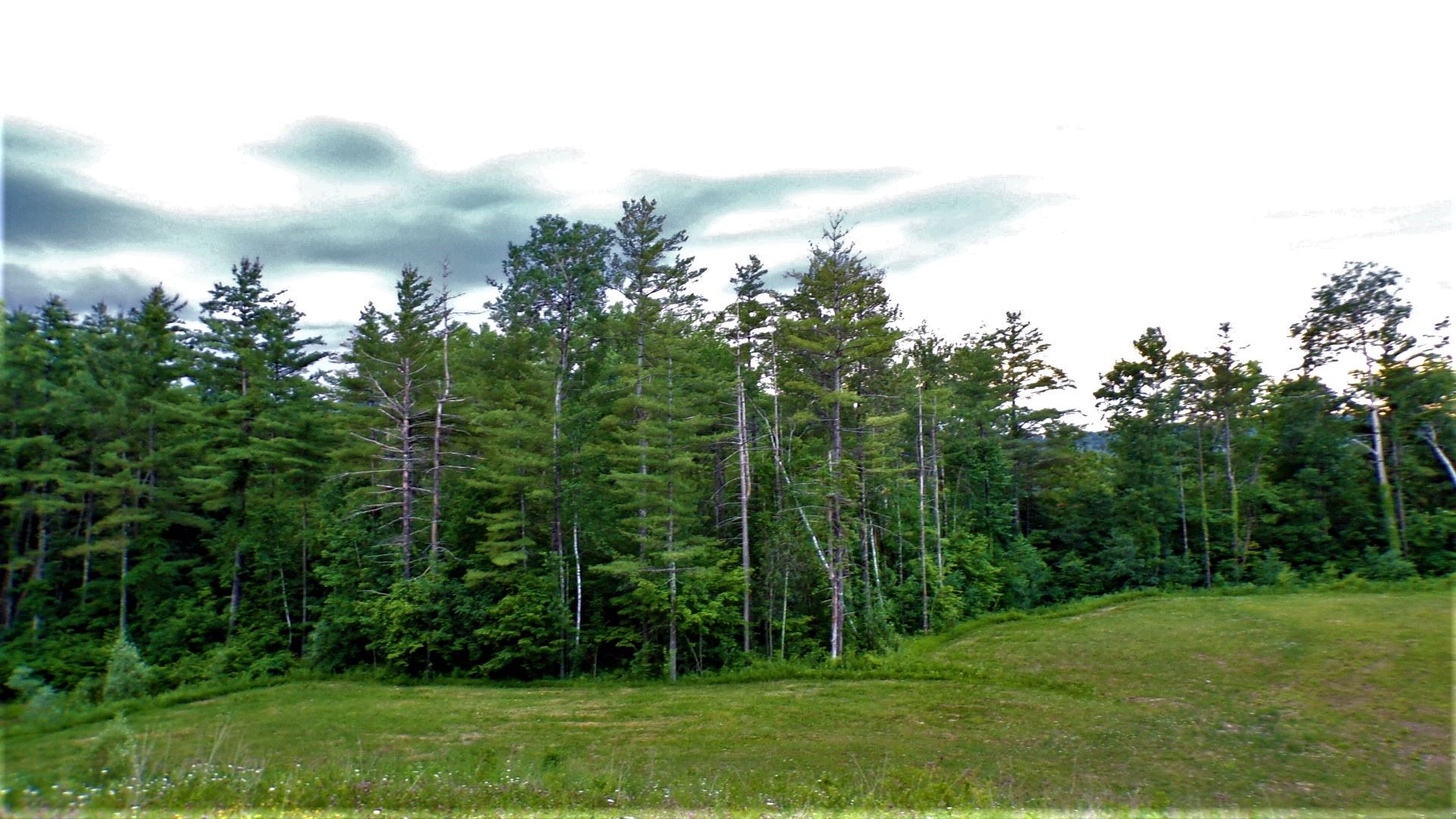 231 Chapel Road Bennington, VT 05201 - Photo 13 of 13