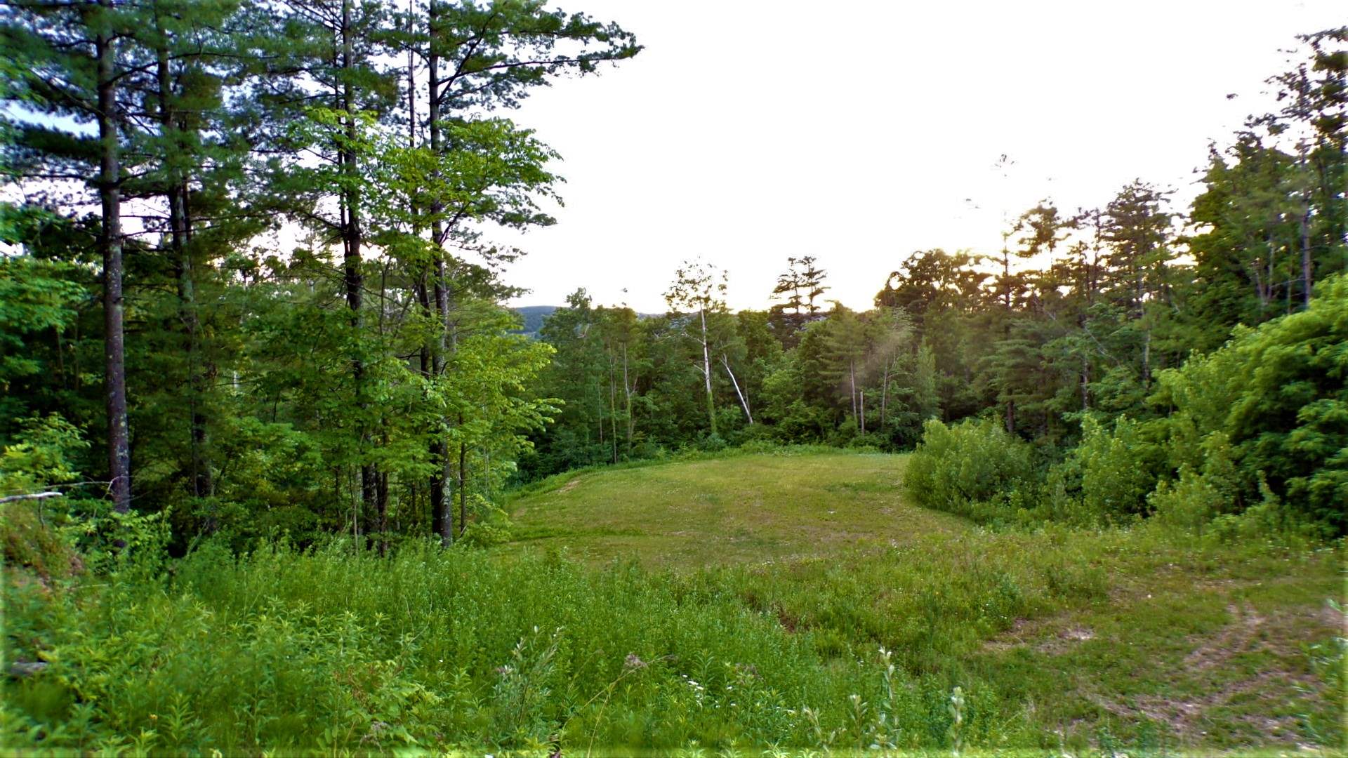 231 Chapel Road Bennington, VT 05201 - Photo 3 of 13