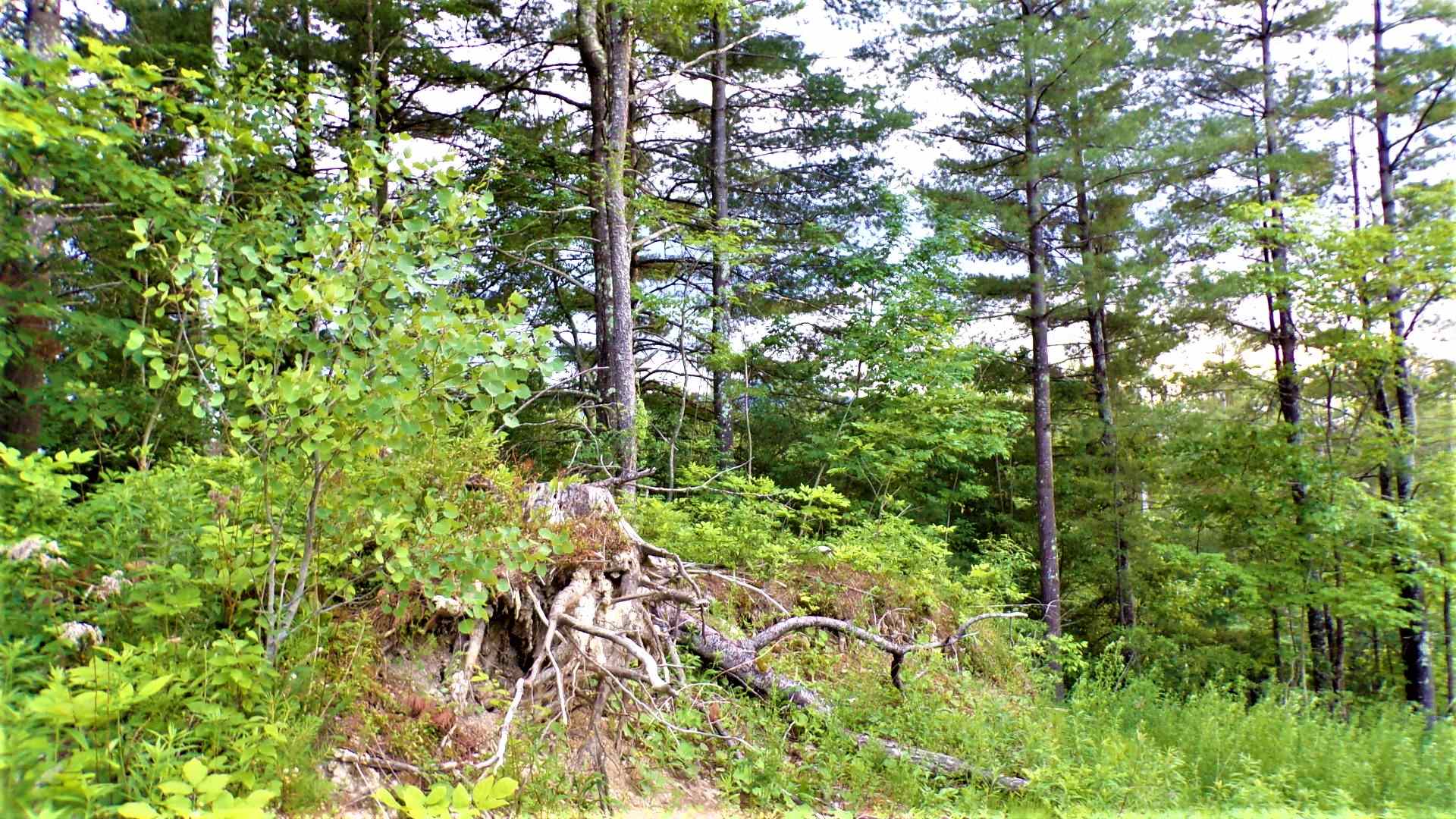 231 Chapel Road Bennington, VT 05201 - Photo 5 of 13
