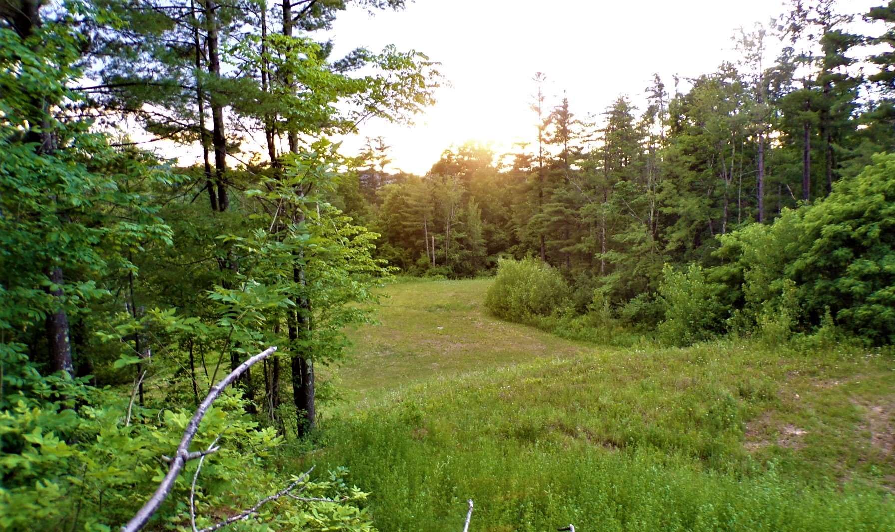 231 Chapel Road Bennington, VT 05201 - Photo 6 of 13