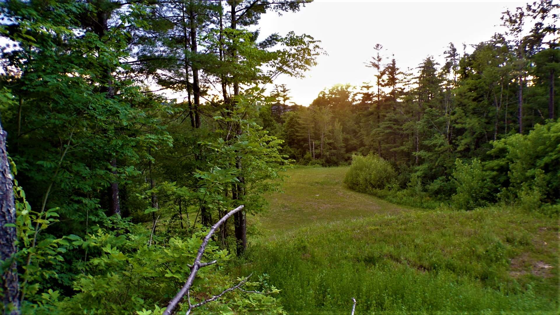 231 Chapel Road Bennington, VT 05201 - Photo 7 of 13