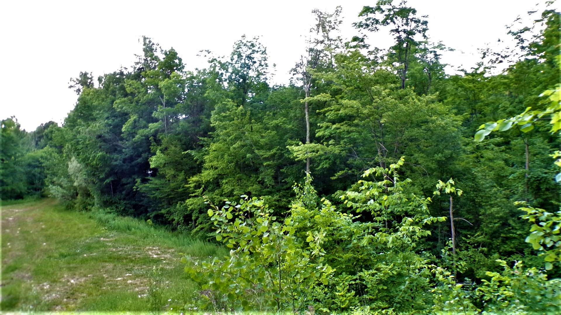231 Chapel Road Bennington, VT 05201 - Photo 9 of 13
