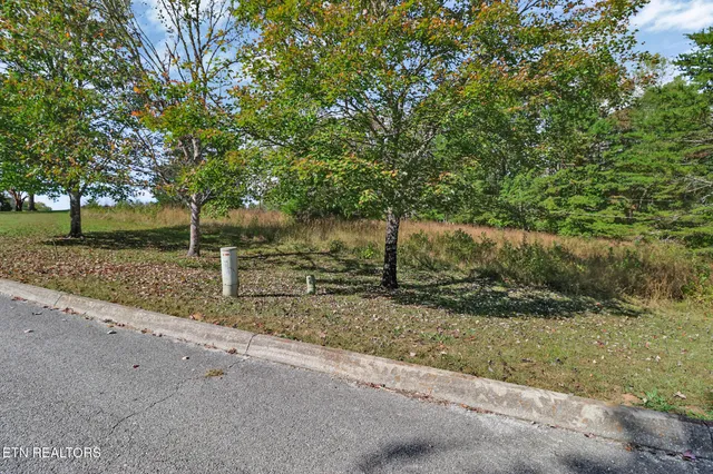 $39,900 | Lot 34 Indigo Bunting Drive, Harriman, TN 37748