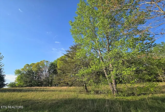$39,900 | Lot 34 Indigo Bunting Drive, Harriman, TN 37748