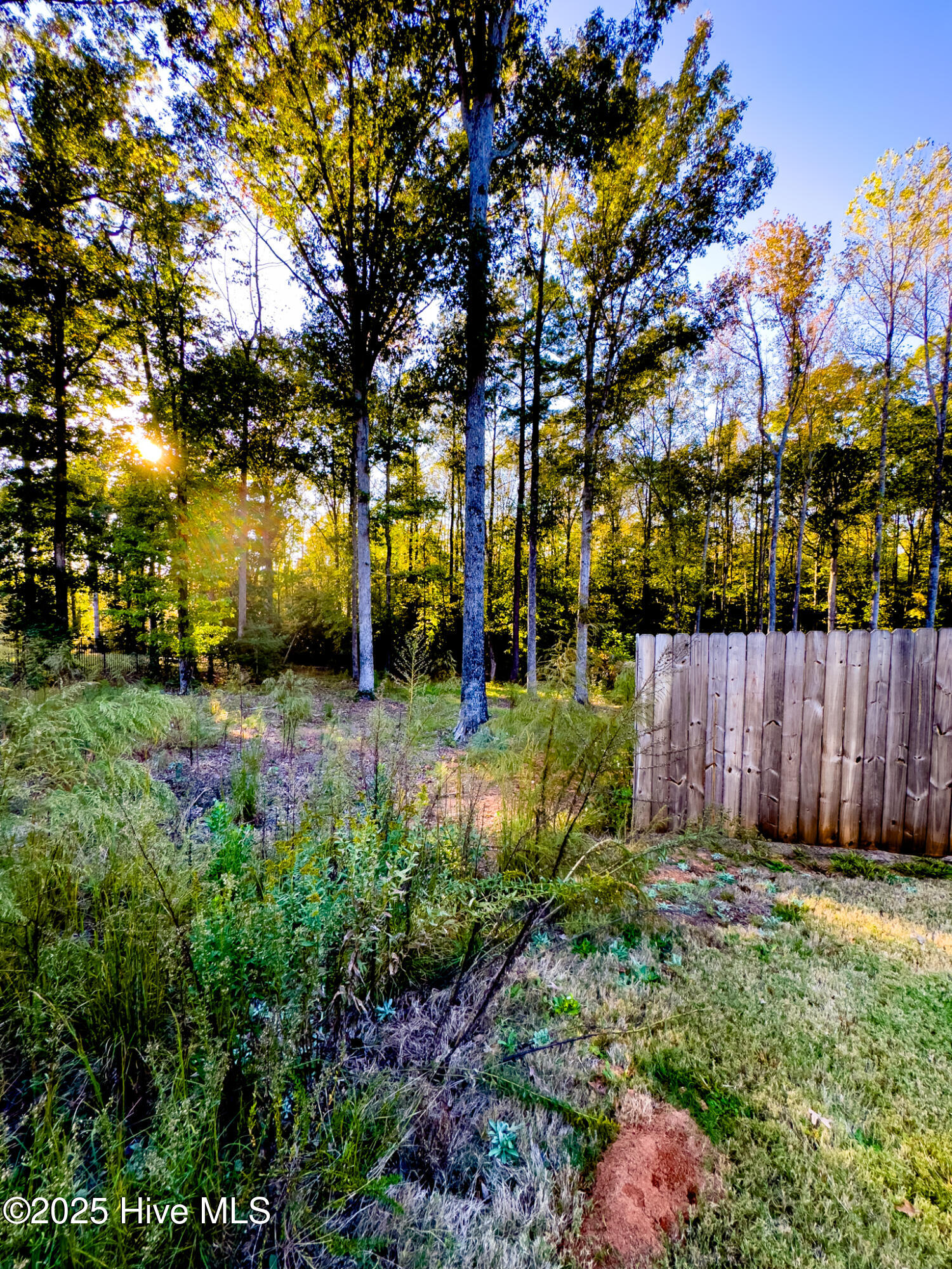 5260 Lemon Springs Road Sanford, NC 27332 - Photo 110 of 124 Outside Fenced Area
