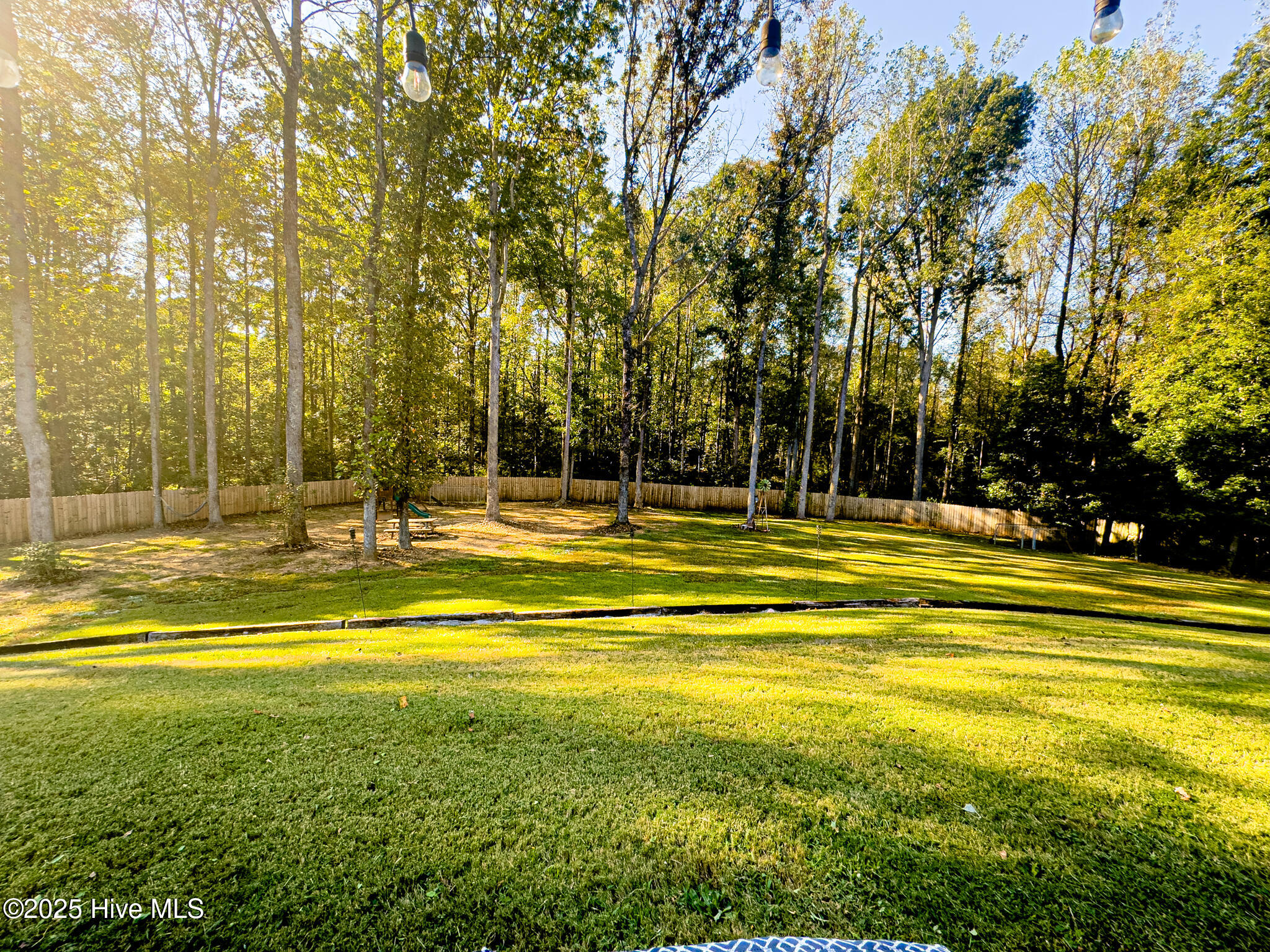 5260 Lemon Springs Road Sanford, NC 27332 - Photo 88 of 124 Backyard 1