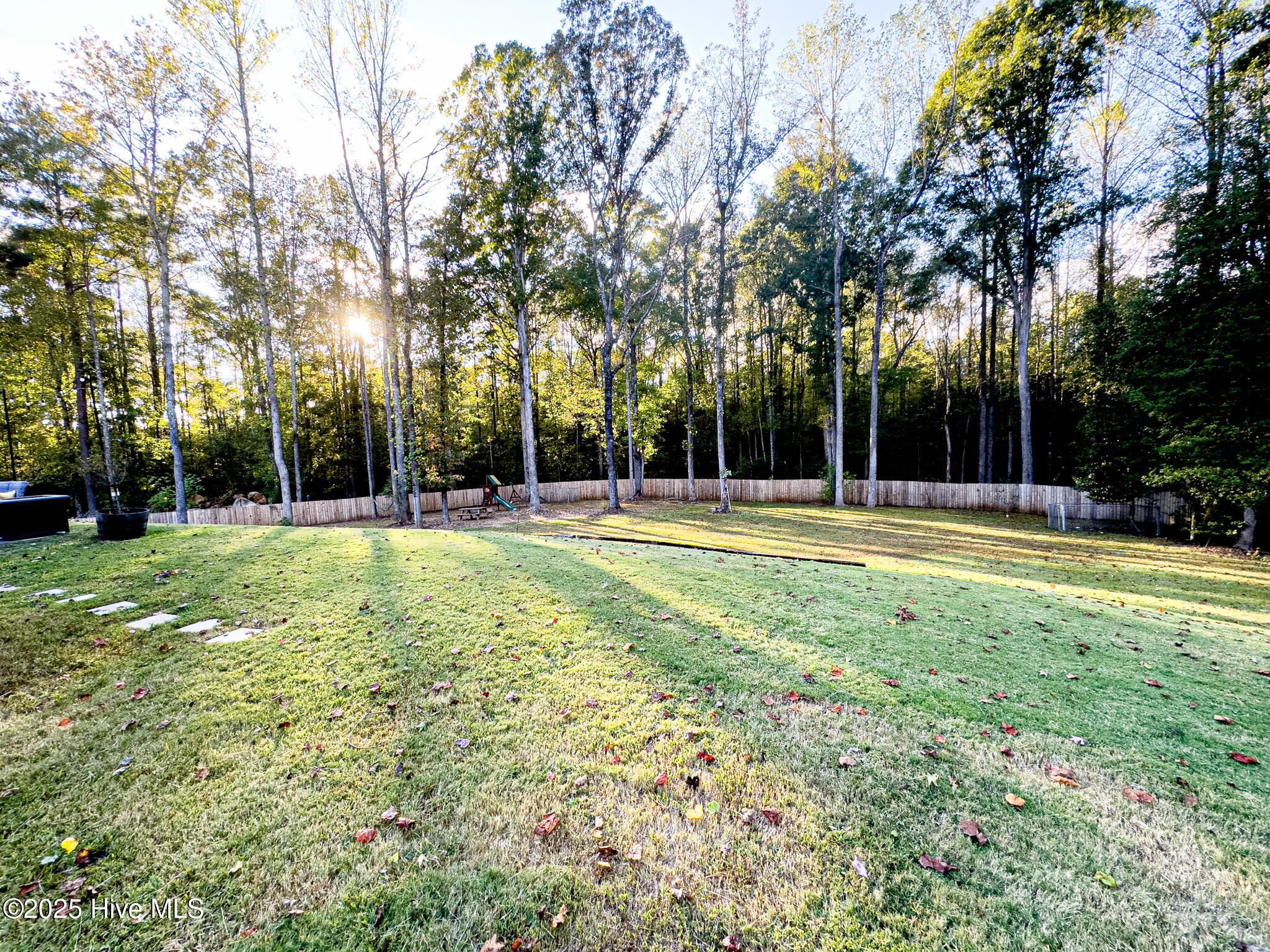 5260 Lemon Springs Road Sanford, NC 27332 - Photo 94 of 124 Backyard 4