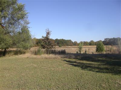 54539 Buckhorn Road Three Rivers, MI 49093 - Photo 6 of 19 Additional Photo