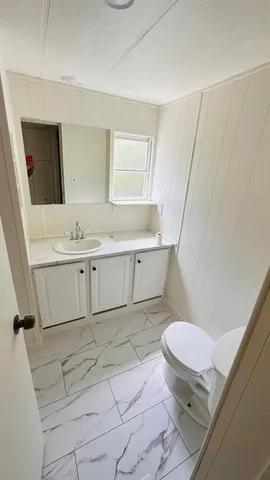 a bathroom with a sink a toilet a mirror and vanity
