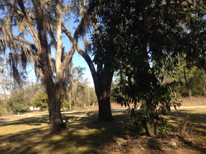 3195 Henry Gibson Road Perry, FL 32348 - Photo 9 of 10 Gallery Image 9