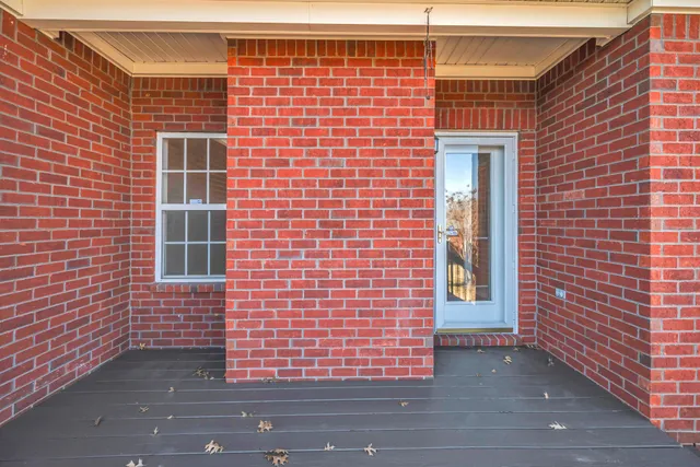 a view of a backyard with a tree