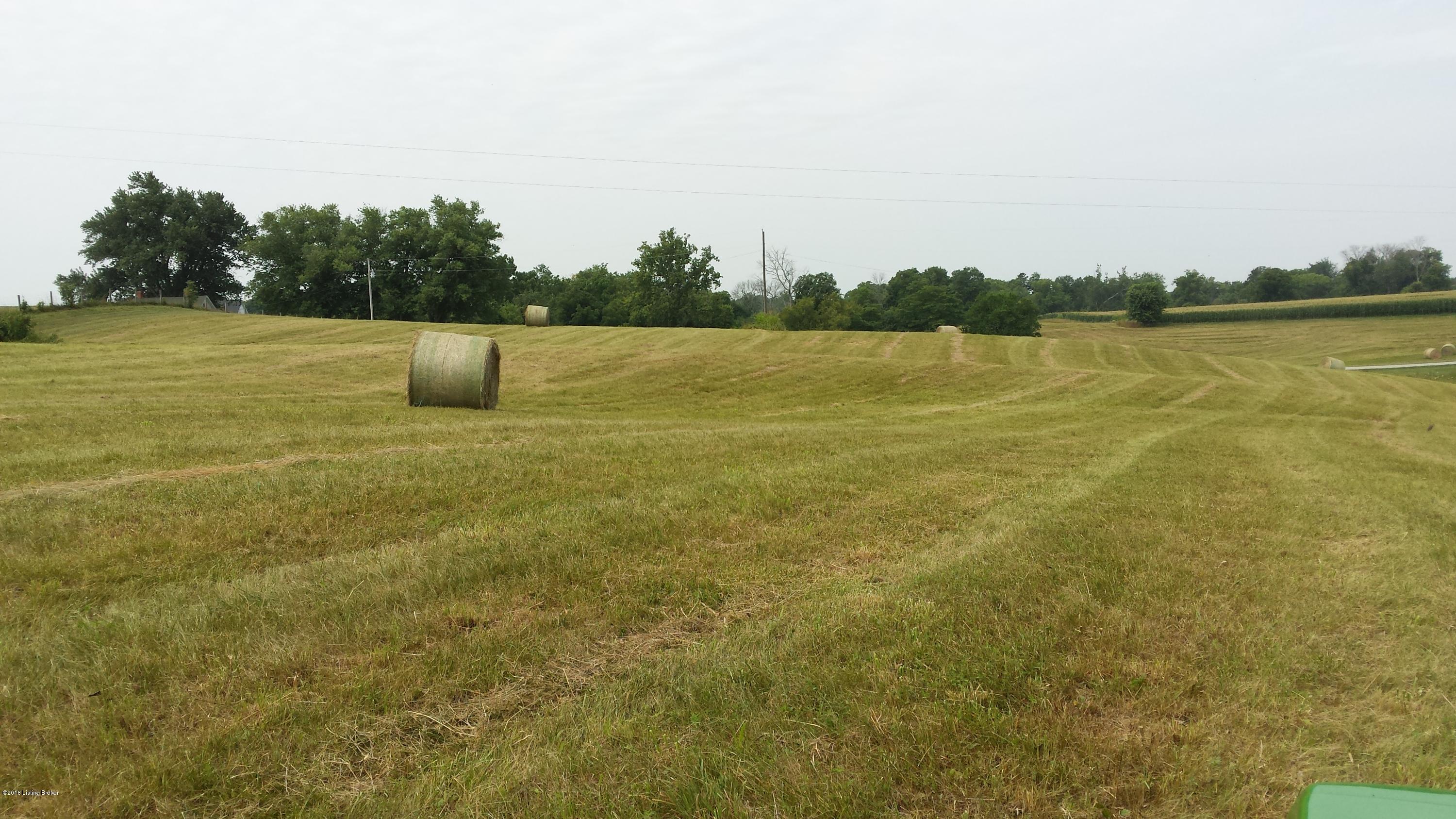 1167 Harley-Thompson Road Bagdad, KY 40003 - Photo 8 of 21 20140712_112253
