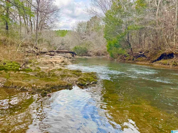 $1,125,000 | 576 Gunlock Street, Montevallo, AL 35115