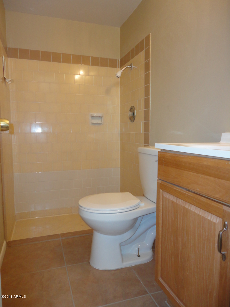 6121 West Cheery Lynn Road Phoenix, AZ 85033 - Photo 11 of 19 Master Bath