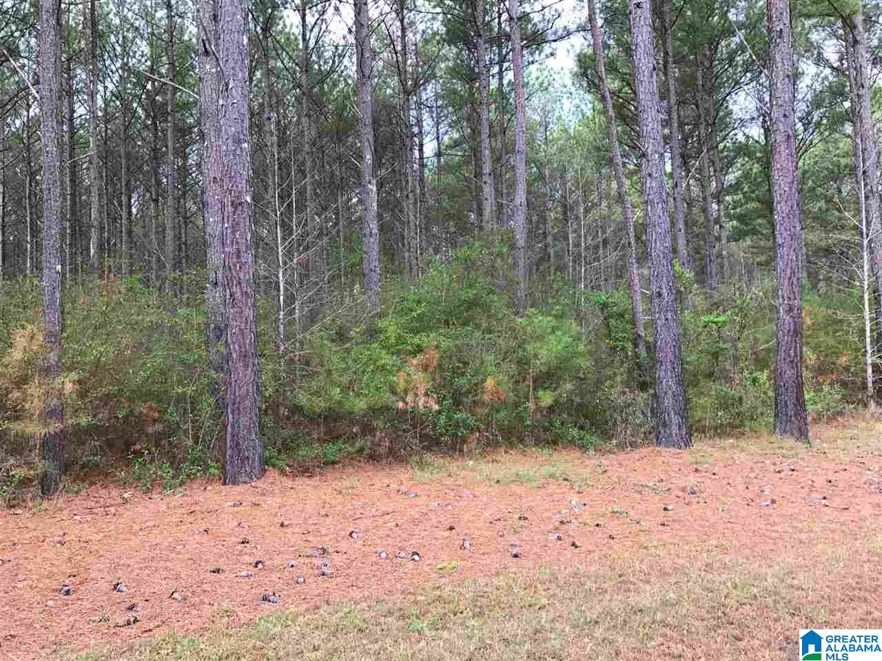 78 Pilgrims Path, Unit 19 Anniston, AL 36207 - Photo 3 of 35