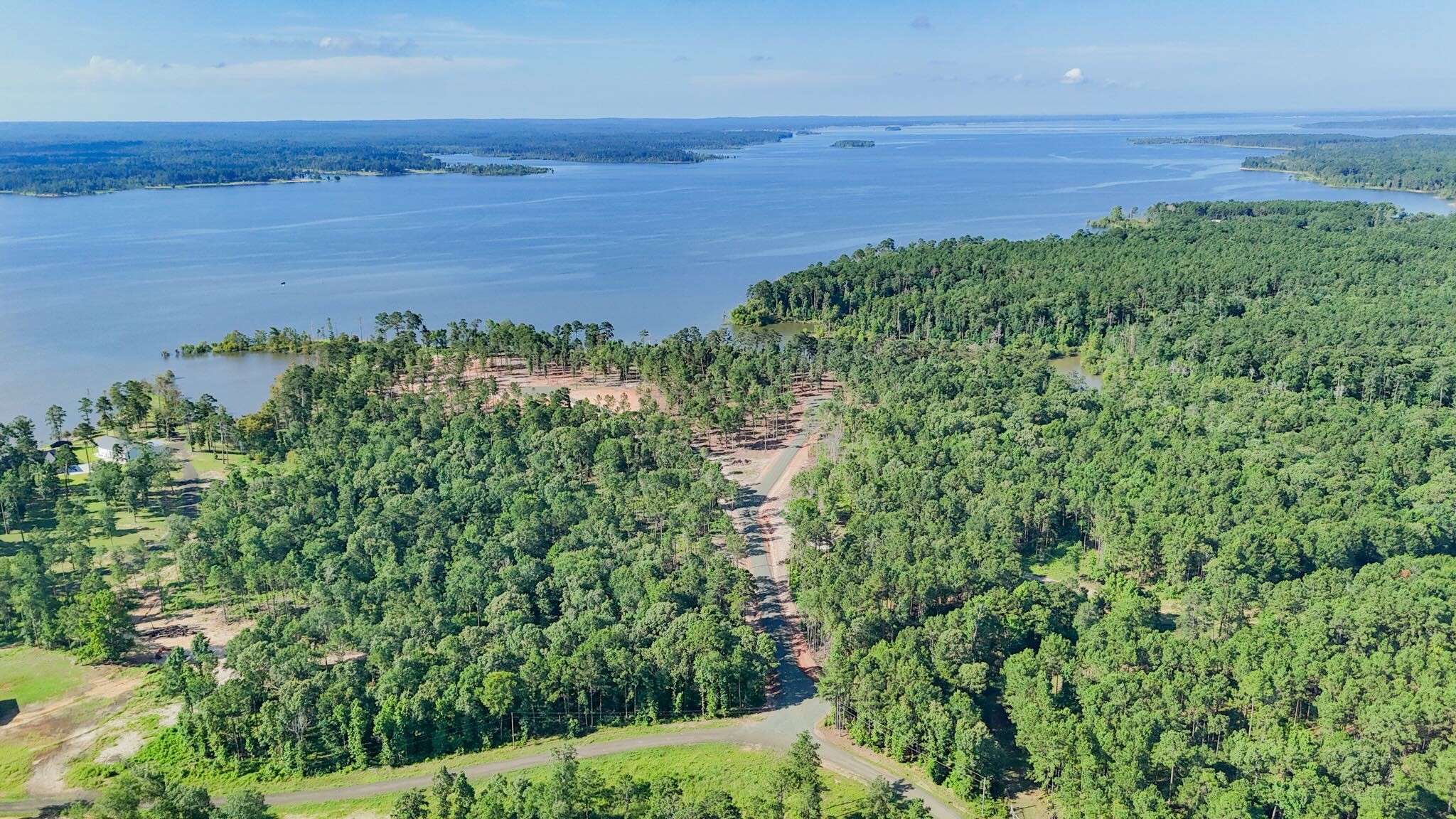 134 Foster Cove Bronson, TX 75930 - Photo 9 of 17 a view of a large yard with lots of green space